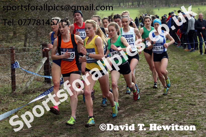Senior womens 2019 British Athletics Inter Counties Cross Country, Prestwood Hall, Loughborough. Photo:  David T. Hewitson/Sports for All Pics